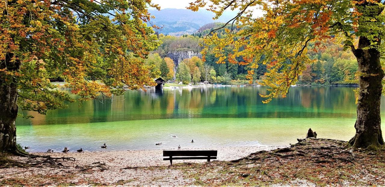 7 Lakes Apartment Бохінь Екстер'єр фото